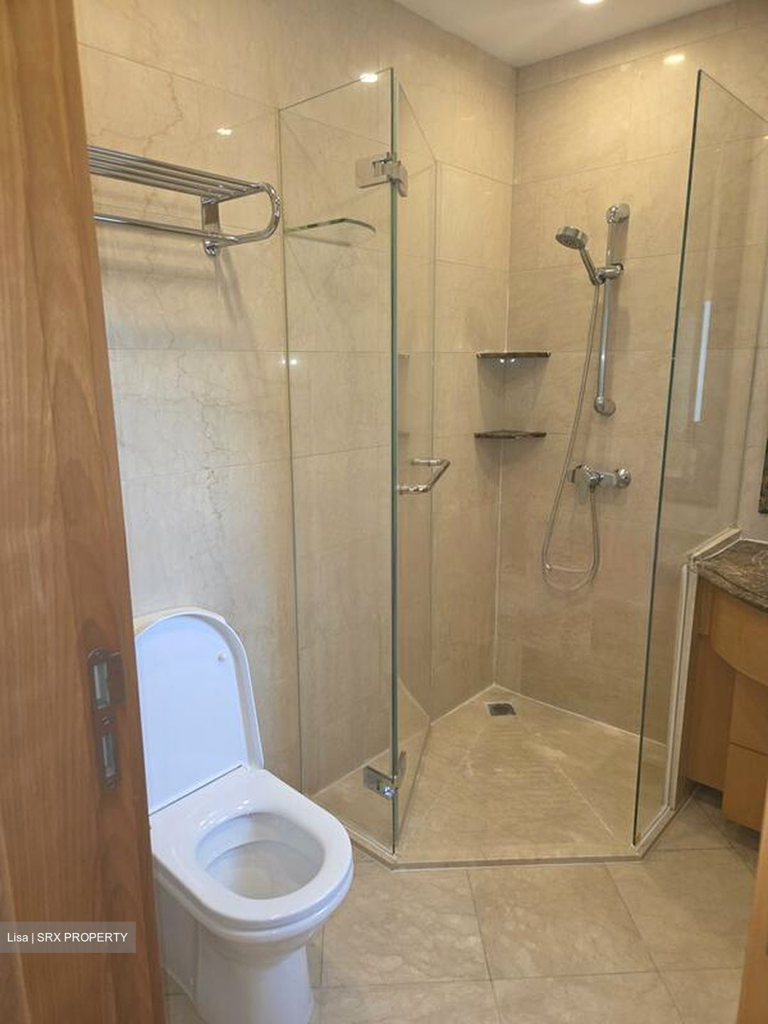 Ardmore Park (D10), Condominium #517511141